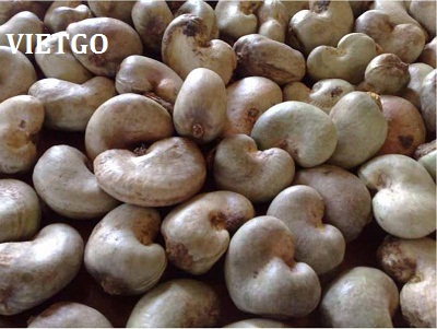 điều việt nam xuất khẩu